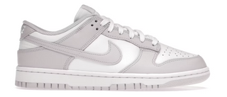 Nike Dunk Low Venice