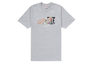 Supreme Tera Patrick Collegiate Tee Ash Grey