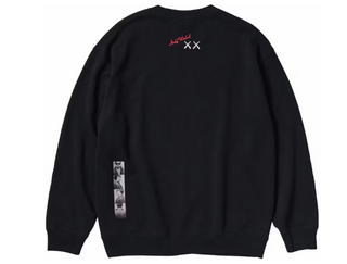 KAWS x Uniqlo Warhol Graphic 476119 Sweatshirt