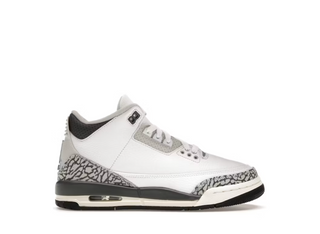 AJ3 Hide N Sneak