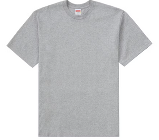 Supreme Paint Tee Grey