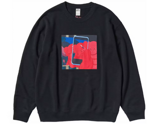 KAWS x Uniqlo Warhol Graphic 476119 Sweatshirt
